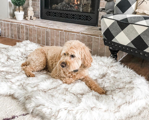 Zentipaws Dreamy-Shag Luxury Pet Mat