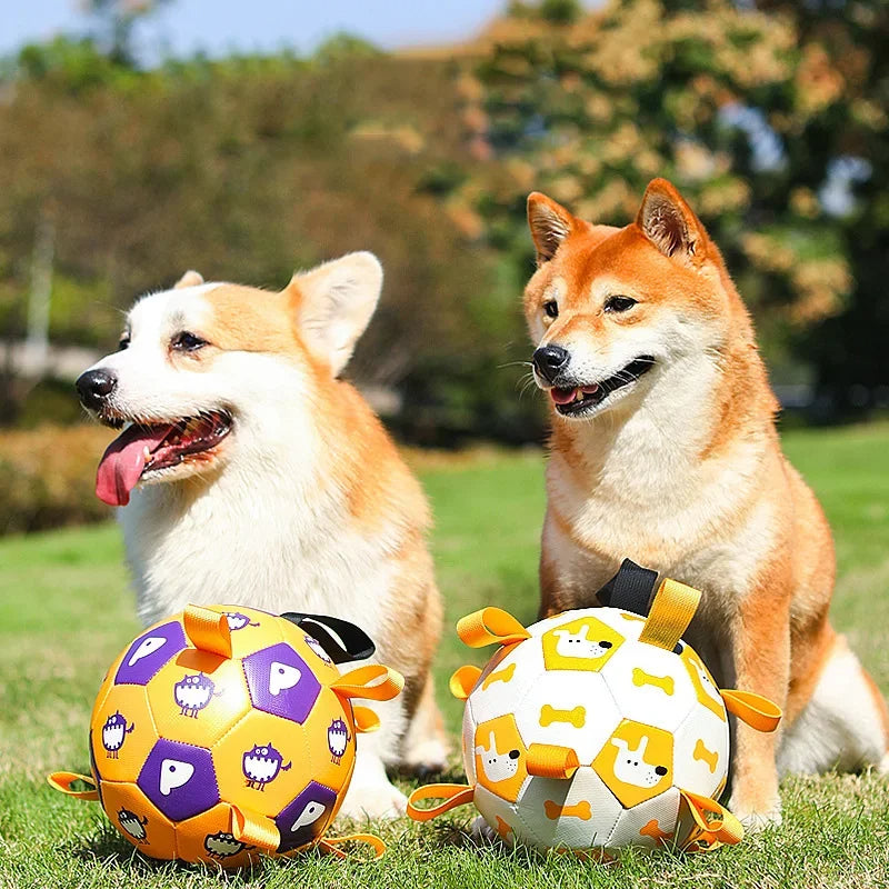 Zentipaws Active-Grab Interactive Dog Football