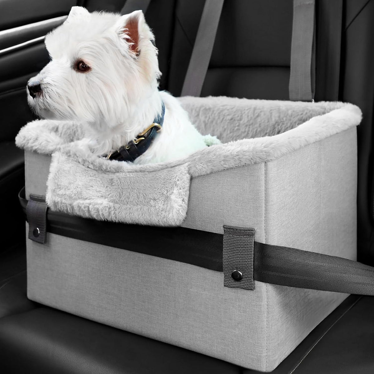 Zentipaws | Premium Pet Booster Seat