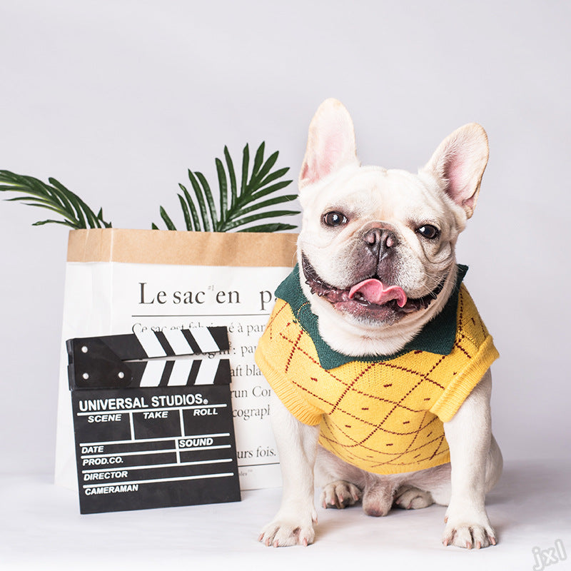 Zentipaws | Vintage Preppy Knit Jumper