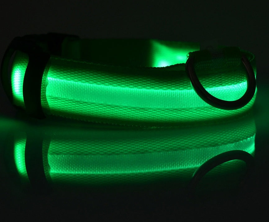 Zentipaws | Glow-Guard LED Safety Collar