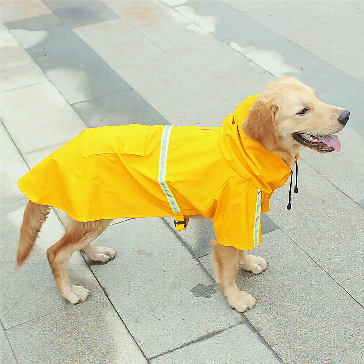 Zentipaws | All-Weather Waterproof Dog Raincoat